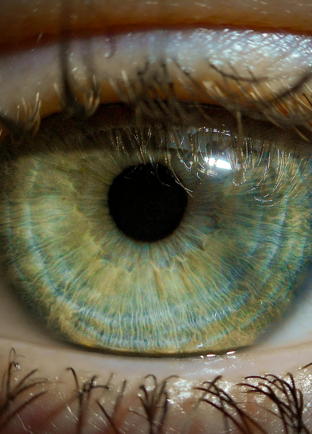 Naturopathe Le Vésinet