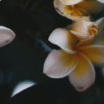 Energéticienne Suresnes