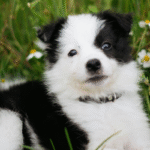 Reconversion Professionnelle Chatou Croissy