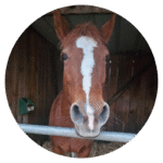 Naturopathe Rueil-Malmaison